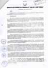 Vista preliminar de documento RESOLUCIÓN GERENCIAL GENERAL N° 046-2011/GRP-PEIHAP.pdf