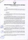 Vista preliminar de documento RESOLUCIÓN GERENCIAL GENERAL N° 067-2011/GRP-PEIHAP.pdf