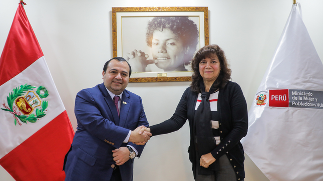 Viceministra Barbieri se reúne con el vicepresidente y relator para Perú de la CIDH