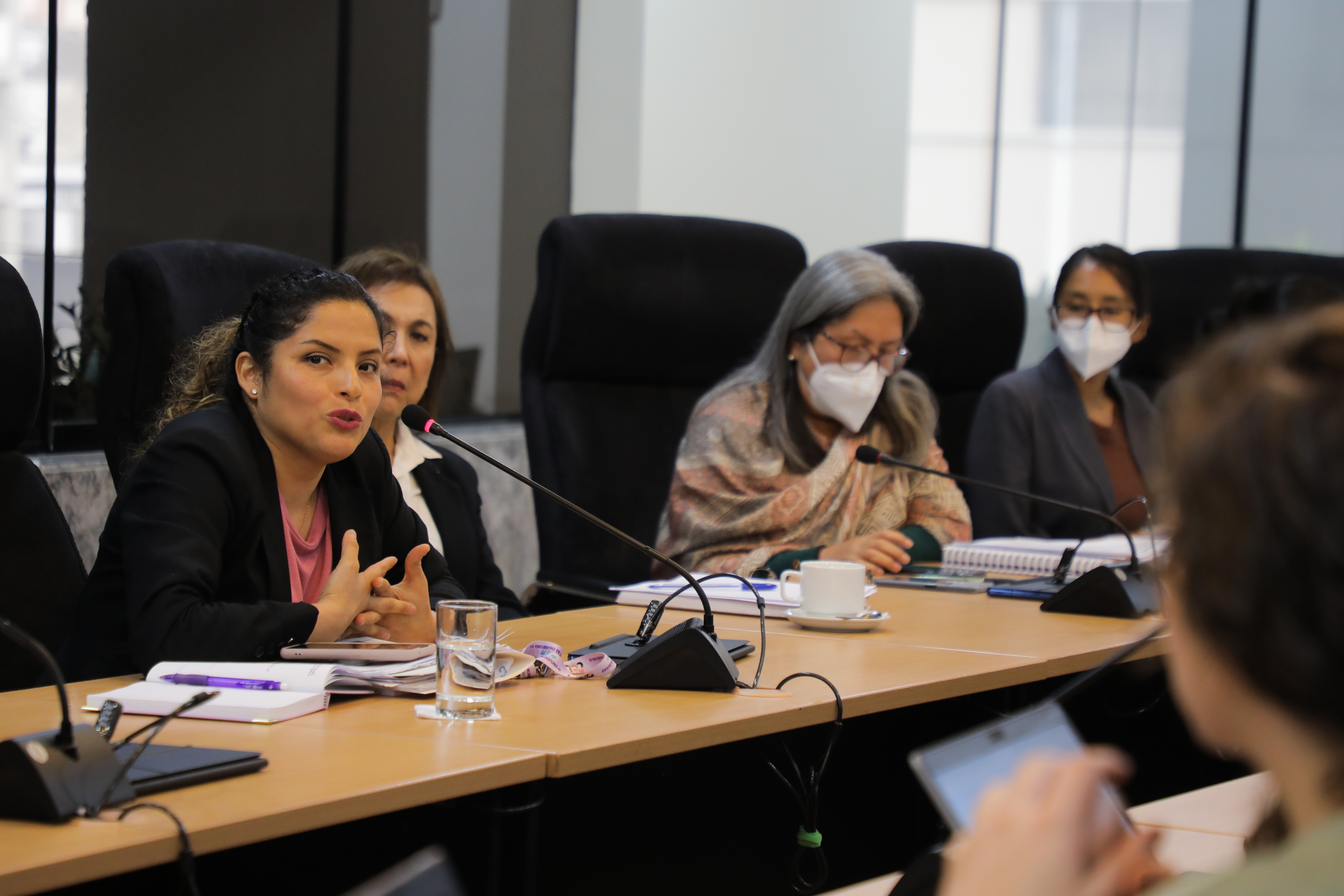 Viceministra Barbieri se reúne con el vicepresidente y relator para Perú de la CIDH