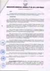 Vista preliminar de documento RESOLUCIÓN GERENCIAL GENERAL N° 081-2011/GRP-PEIHAP.pdf