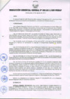 Vista preliminar de documento RESOLUCIÓN GERENCIAL GENERAL N° 083-2011/GRP-PEIHAP.pdf