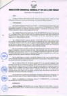 Vista preliminar de documento RESOLUCIÓN GERENCIAL GENERAL N° 084-2011/GRP-PEIHAP.pdf
