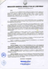 Vista preliminar de documento RESOLUCIÓN GERENCIAL GENERAL N° 091-2011/GRP-PEIHAP.pdf