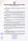 Vista preliminar de documento RESOLUCIÓN GERENCIAL GENERAL N° 100-2011/GRP-PEIHAP.pdf