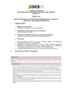 Vista preliminar de documento Anexo N° 01 - Puesto/s Vacante/s