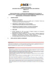 Vista preliminar de documento Anexo N° 01 - Puesto/s Vacante/s