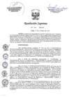 Vista preliminar de documento 195-2022-IN
