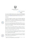 Vista preliminar de documento RD_0125_2019_MINEM_DGAAE