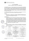 Vista preliminar de documento ACTA DE REUNION