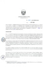 Vista preliminar de documento RD_0131_2019_MINEM-DGAAE