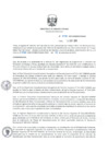 Vista preliminar de documento RD_0133_2019_MINEM_DGAAE
