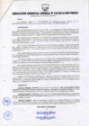 Vista preliminar de documento RESOLUCIÓN GERENCIAL GENERAL N° 013-2012/GRP-PEIHAP.pdf