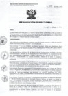 Vista preliminar de documento RD N° 045-HNAL-D-2016.pdf