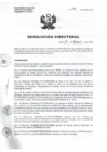 Vista preliminar de documento RD N° 048-HNAL-D-2016.pdf