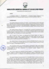 Vista preliminar de documento RESOLUCIÓN GERENCIAL GENERAL N° 019-2012/GRP-PEIHAP.pdf