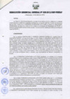 Vista preliminar de documento RESOLUCIÓN GERENCIAL GENERAL N° 025-2012/GRP-PEIHAP.pdf