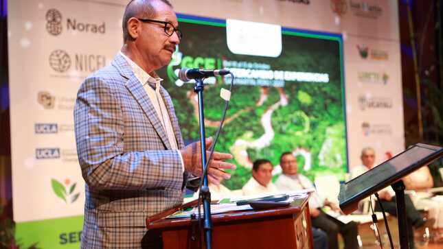 Gobernador regional Pedro Bogarín Vargas