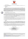 Vista preliminar de documento 266 004-0039009-2019