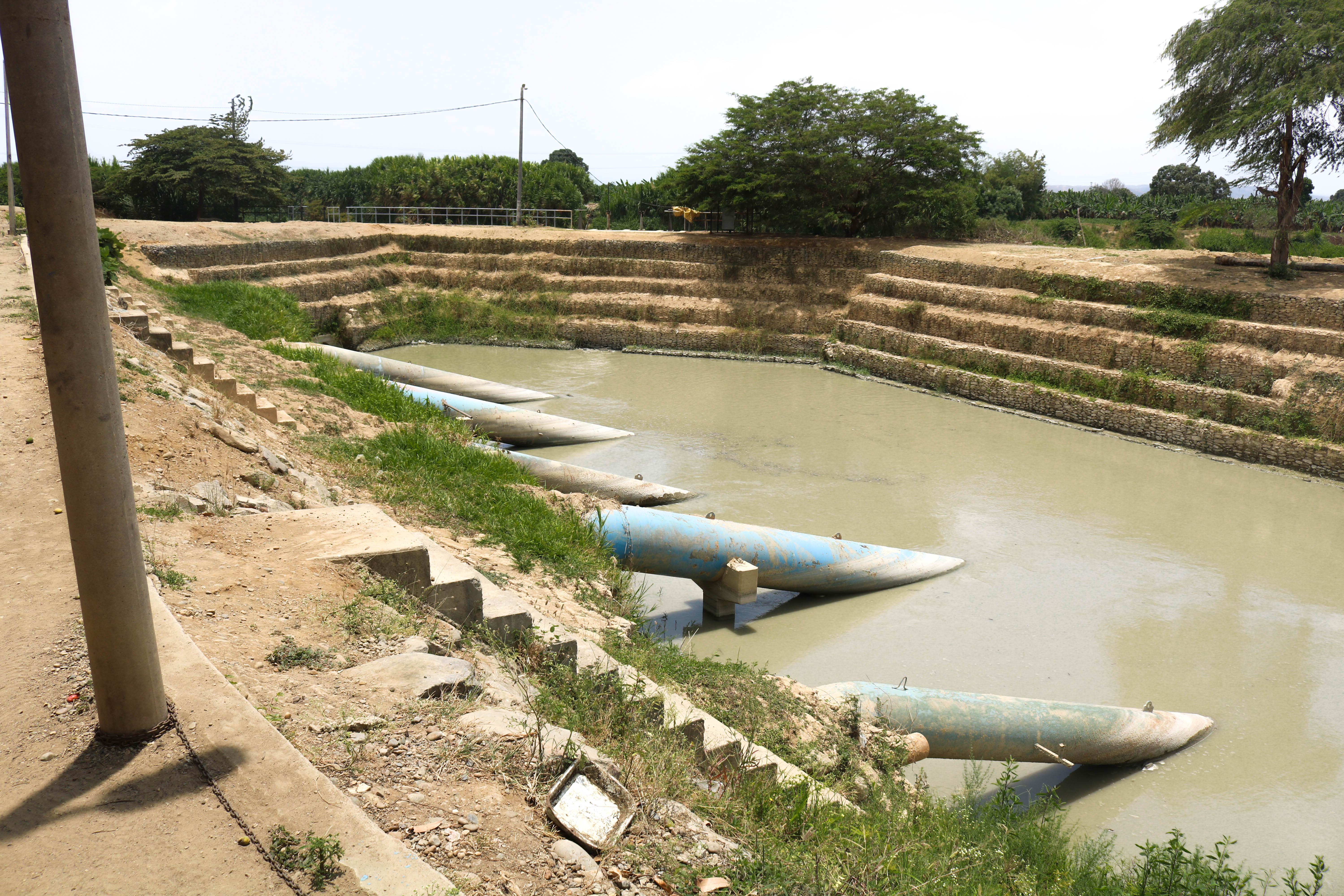 Director Ejecutivo Del PEBPT Visitó Irrigación Puerto El Cura