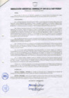 Vista preliminar de documento RESOLUCIÓN GERENCIAL GENERAL N° 049-2012/GRP-PEIHAP.pdf