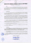Vista preliminar de documento RESOLUCIÓN GERENCIAL GENERAL N° 050-2012/GRP-PEIHAP.pdf