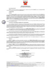 Vista preliminar de documento 293 011-0024135-2019