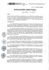 Vista preliminar de documento RD-316-2021-DE-HEVES.pdf