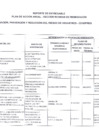 Vista preliminar de documento Plan De Acción Anual-Sección Medidas de Remediación 2022.pdf
