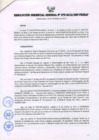 Vista preliminar de documento RESOLUCIÓN GERENCIAL GENERAL N° 079-2012/GRP-PEIHAP.pdf