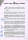 Vista preliminar de documento RESOLUCIÓN GERENCIAL GENERAL N° 088-2012/GRP-PEIHAP.pdf