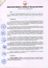 Vista preliminar de documento RESOLUCIÓN GERENCIAL GENERAL N° 089-2012/GRP-PEIHAP.pdf