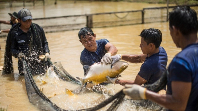 Imagen de acuicultores