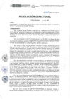 Vista preliminar de documento RD-338-2021-DE-HEVES.pdf