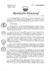 Vista preliminar de documento RESOLUCIÓN DIRECTORAL N° 270-2022.pdf