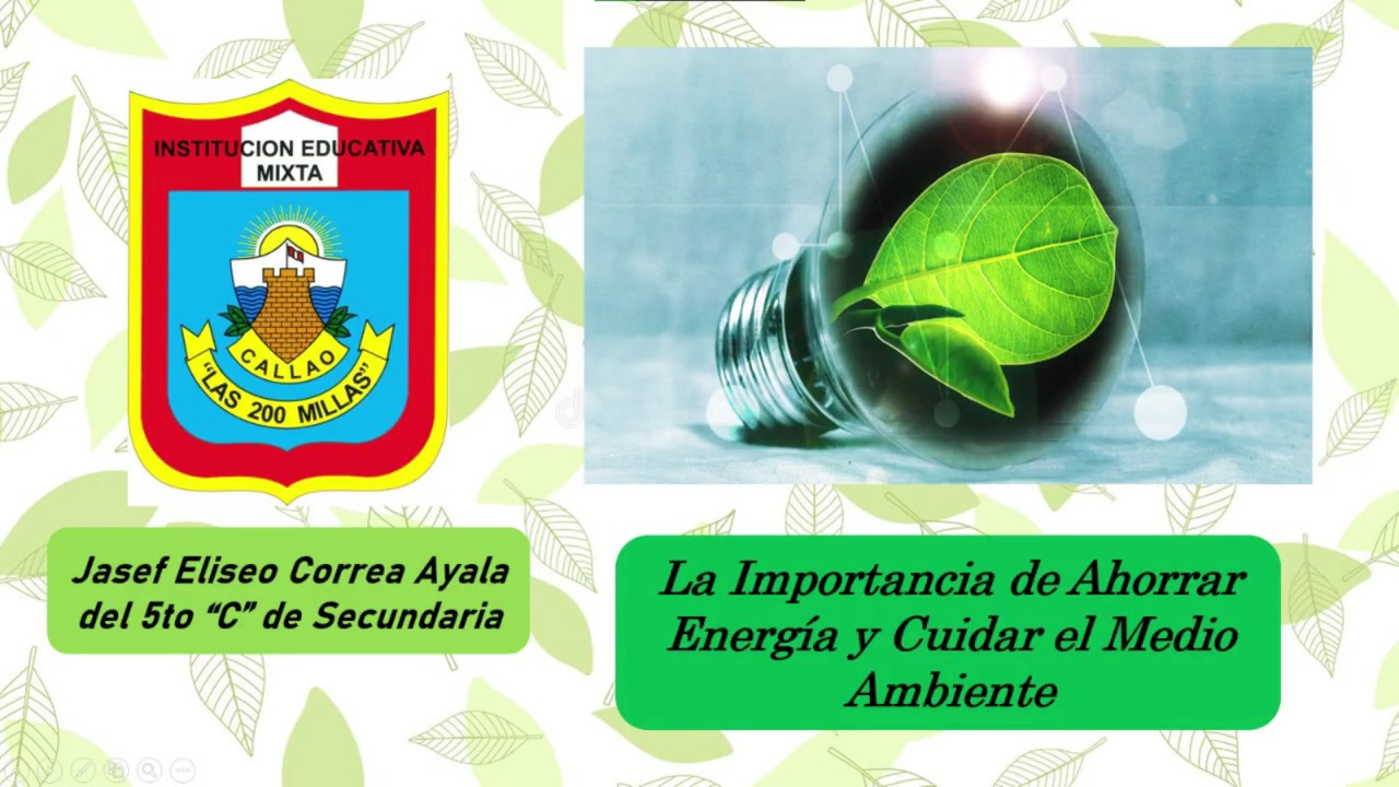 Participantes