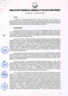 Vista preliminar de documento RESOLUCIÓN GERENCIAL GENERAL N° 027-2013/GRP-PEIHAP.pdf