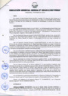 Vista preliminar de documento RESOLUCIÓN GERENCIA GENERAL N° 029-2013/GRP-PEIHAP.pdf