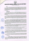Vista preliminar de documento RESOLUCIÓN GERENCIA GENERAL N° 041-2013/GRP-PEIHAP.pdf