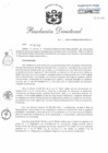 Vista preliminar de documento RD 100-2019-PNSU