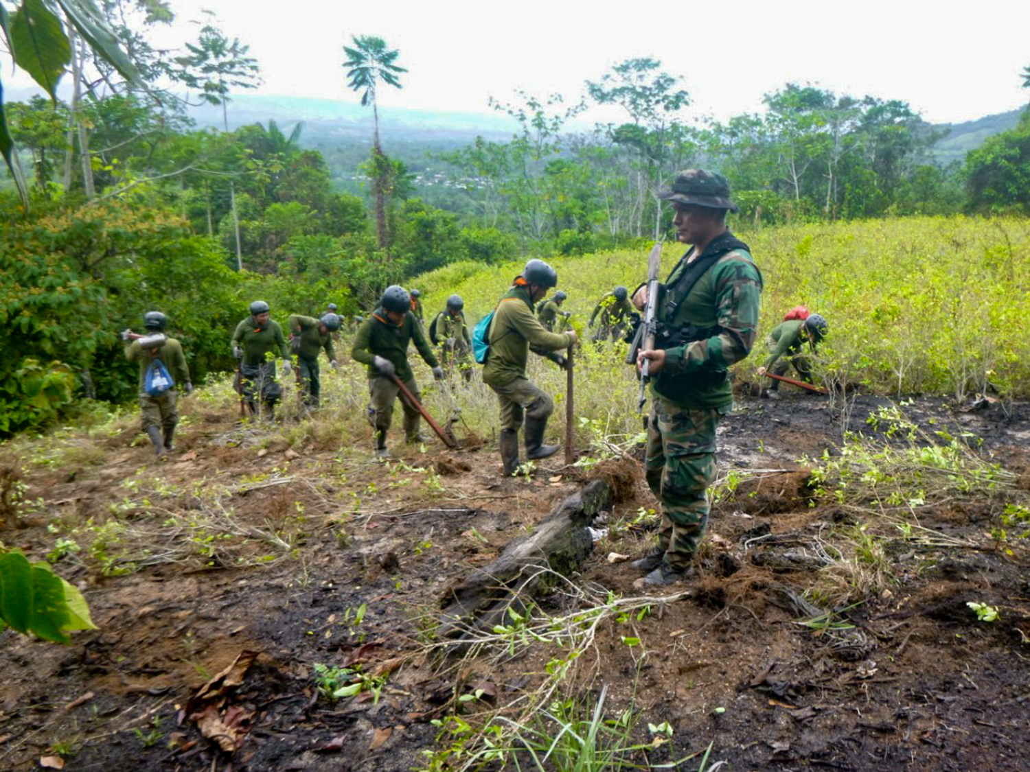 labores de erradicación de cultivos ilegales de hoja de coca