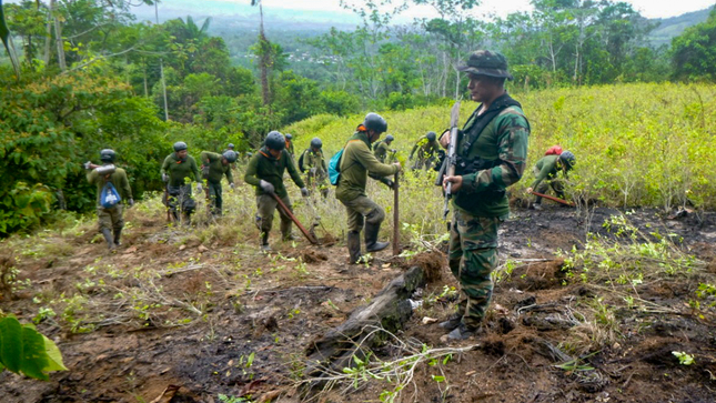 labores de erradicación de cultivos ilegales de hoja de coca