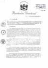 Vista preliminar de documento RD 101-2019-PNSU