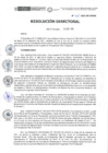 Vista preliminar de documento RD-355-2021-DE-HEVES.pdf
