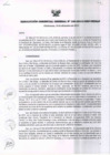 Vista preliminar de documento RESOLUCIÓN GERENCIA GENERAL N° 100-2013/GRP-PEIHAP.pdf