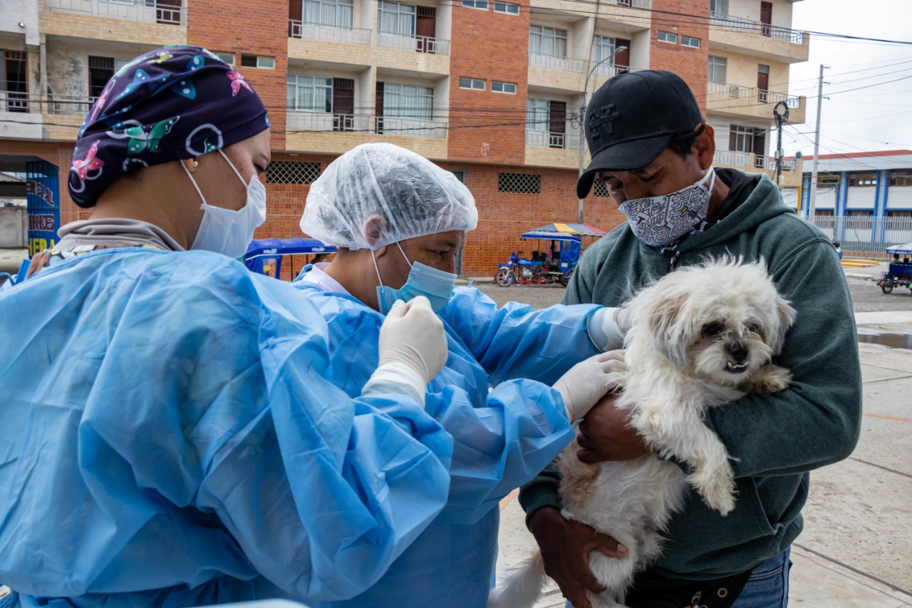 Vacunación canina en Tocache