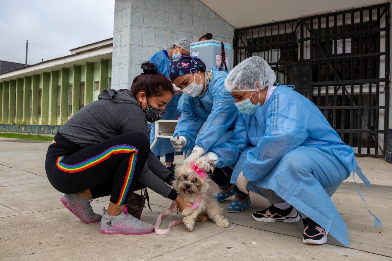 Mascota y dueño durante la vacunación canina