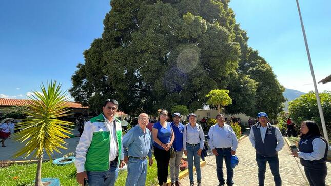 Visitamos árboles patrimoniales con diferentes delegaciones del Perú