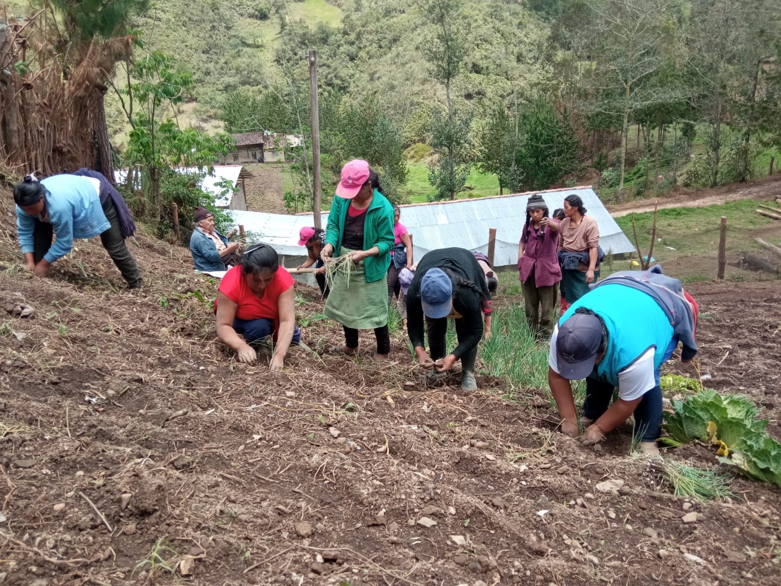 Nota de Prensa- Instalación de Biohuerto en comunidad de Nuevo Luya