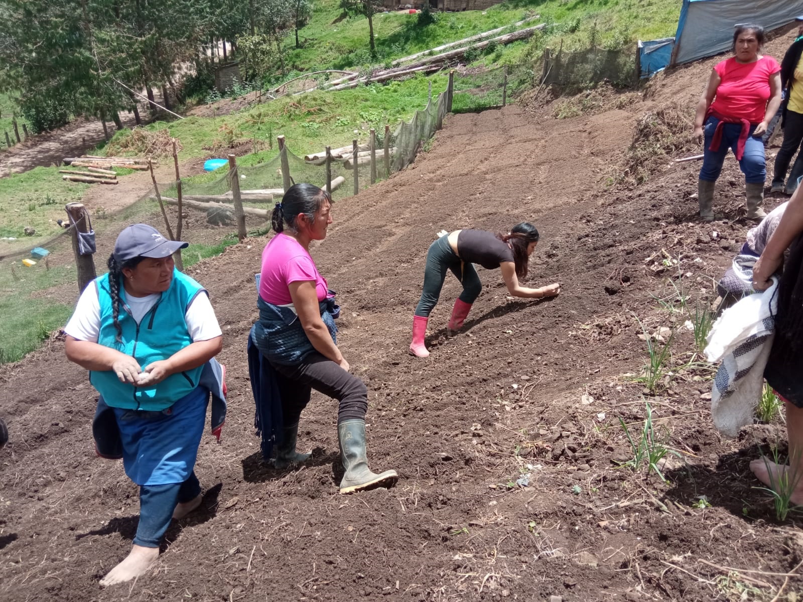 Nota de Prensa- Instalación de Biohuerto en comunidad de Nuevo Luya